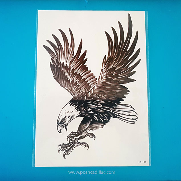 635x635 Eagle Kite Bird Aetos Hawk Spread Wings Waterproof Temporary