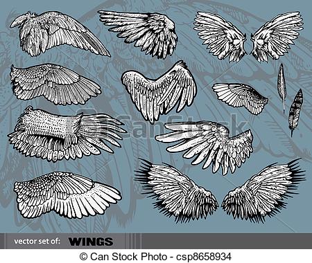 450x380 Wings Isolated On Gray Background Eps Vector