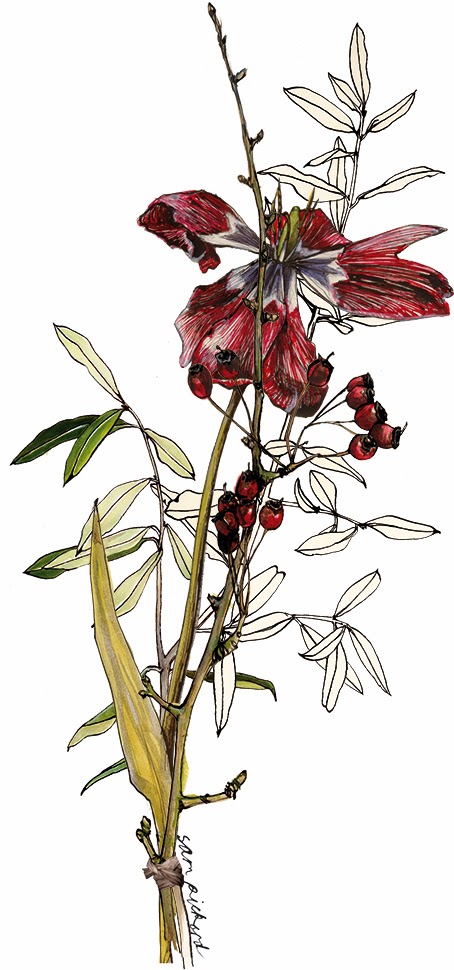 454x970 Planet Sam Posy