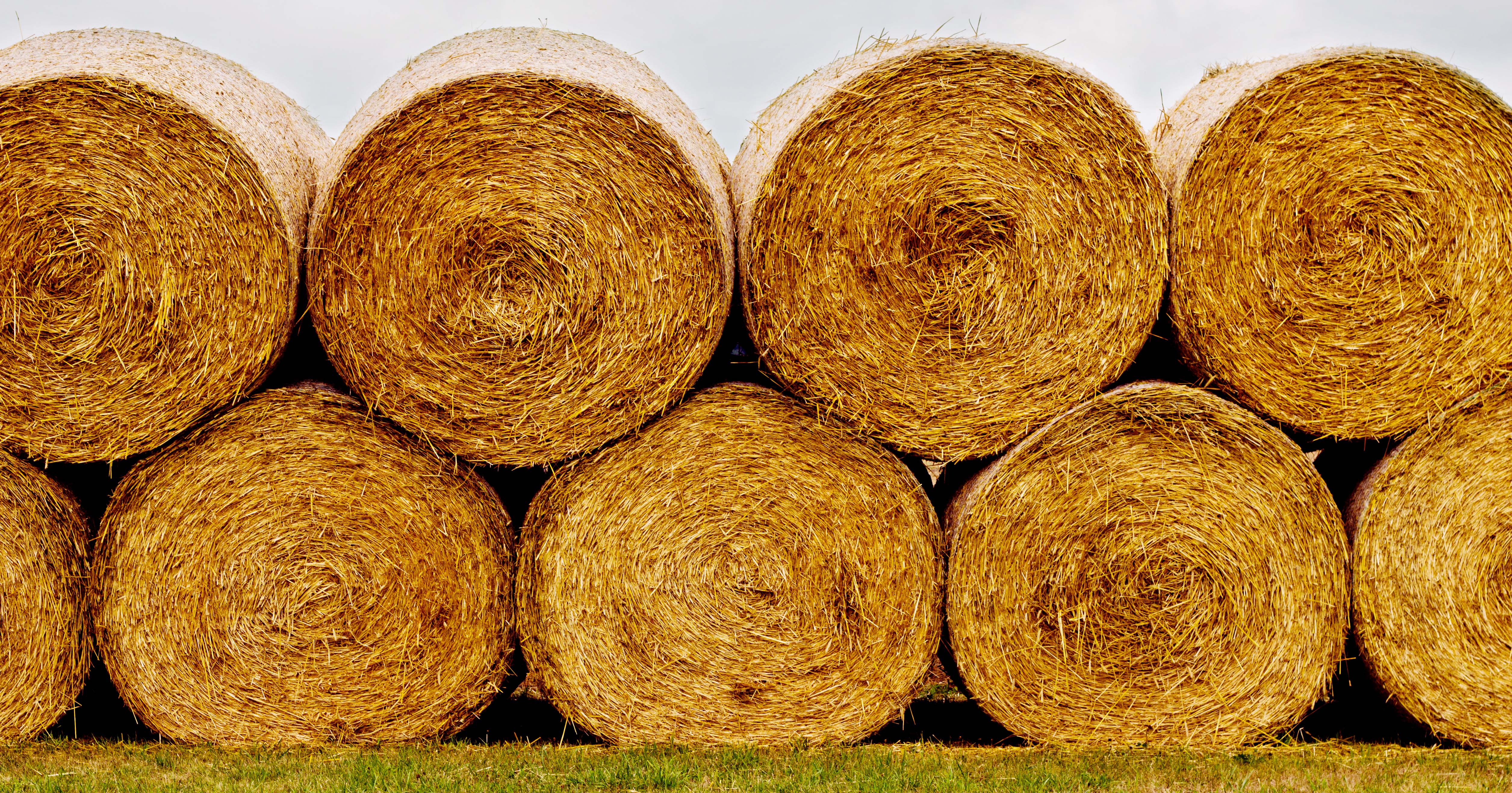 Hay Bale Drawing at GetDrawings | Free download