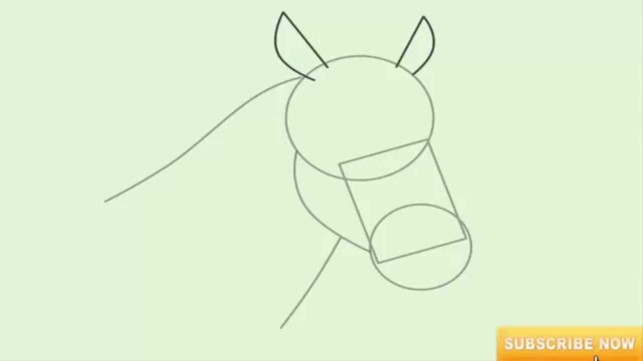 1280x720 How To Draw A Horse Head Step By Step Realistic