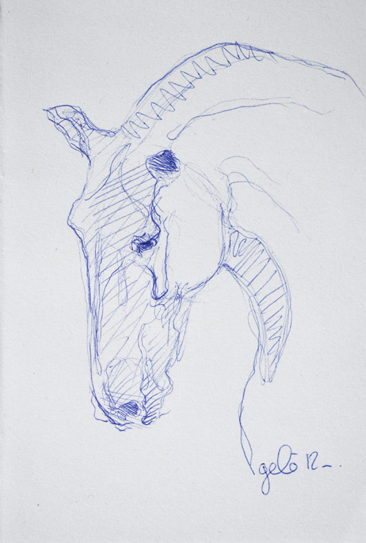 531x787 Sketch 175 Ooak Horse Head Blue Ballpoint Pen Drawing. Via