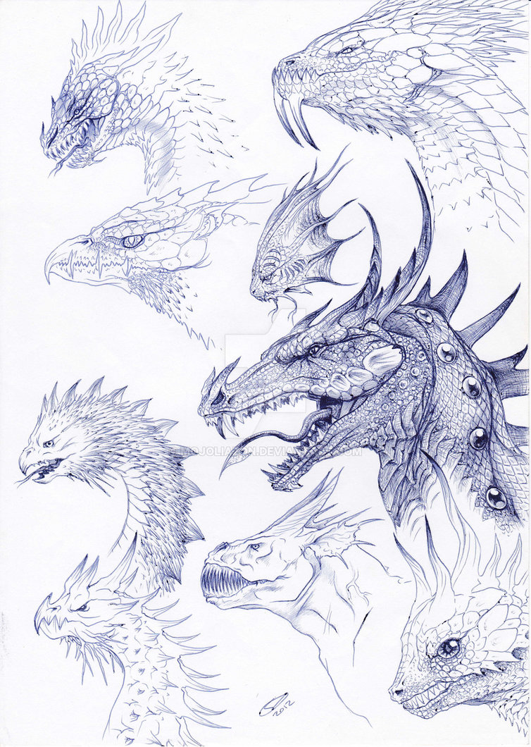 754x1060 Dragon Head Reference Page By Mojoliazon
