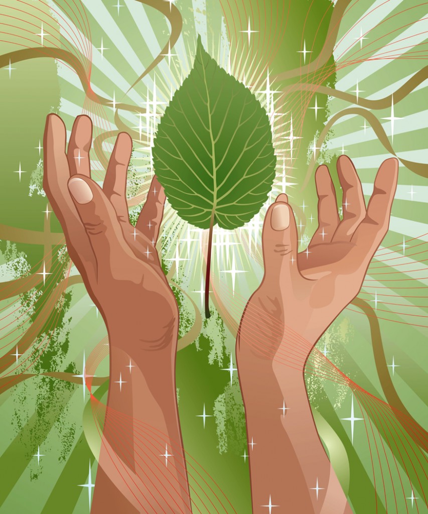 853x1024 Herbal Medicine The Spirited Sage