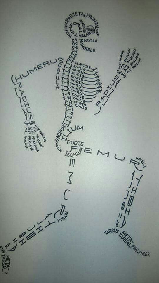 540x960 Art In Human Formskeleton Drawn With The Bone Names Nurse