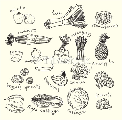 417x412 Vector Art Healthy Food. Sketch Style Graphic
