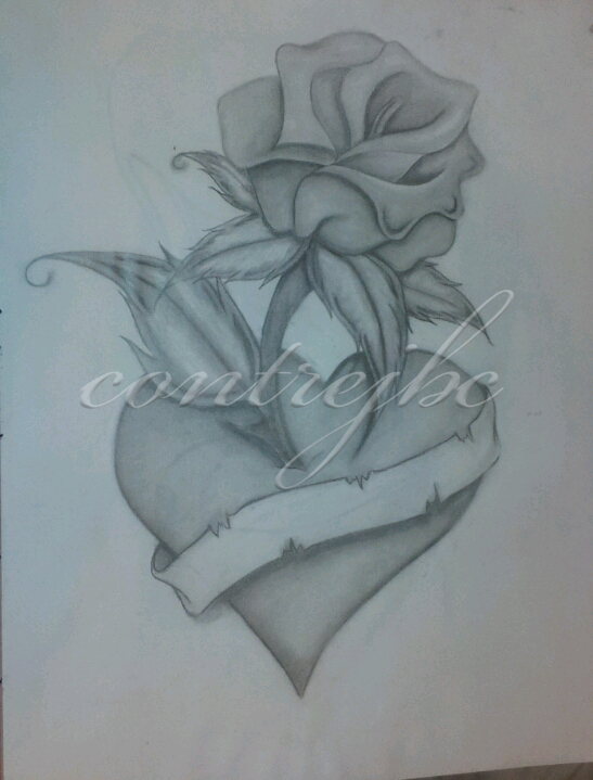 547x719 Heart Rose Drawing By Contrejbc