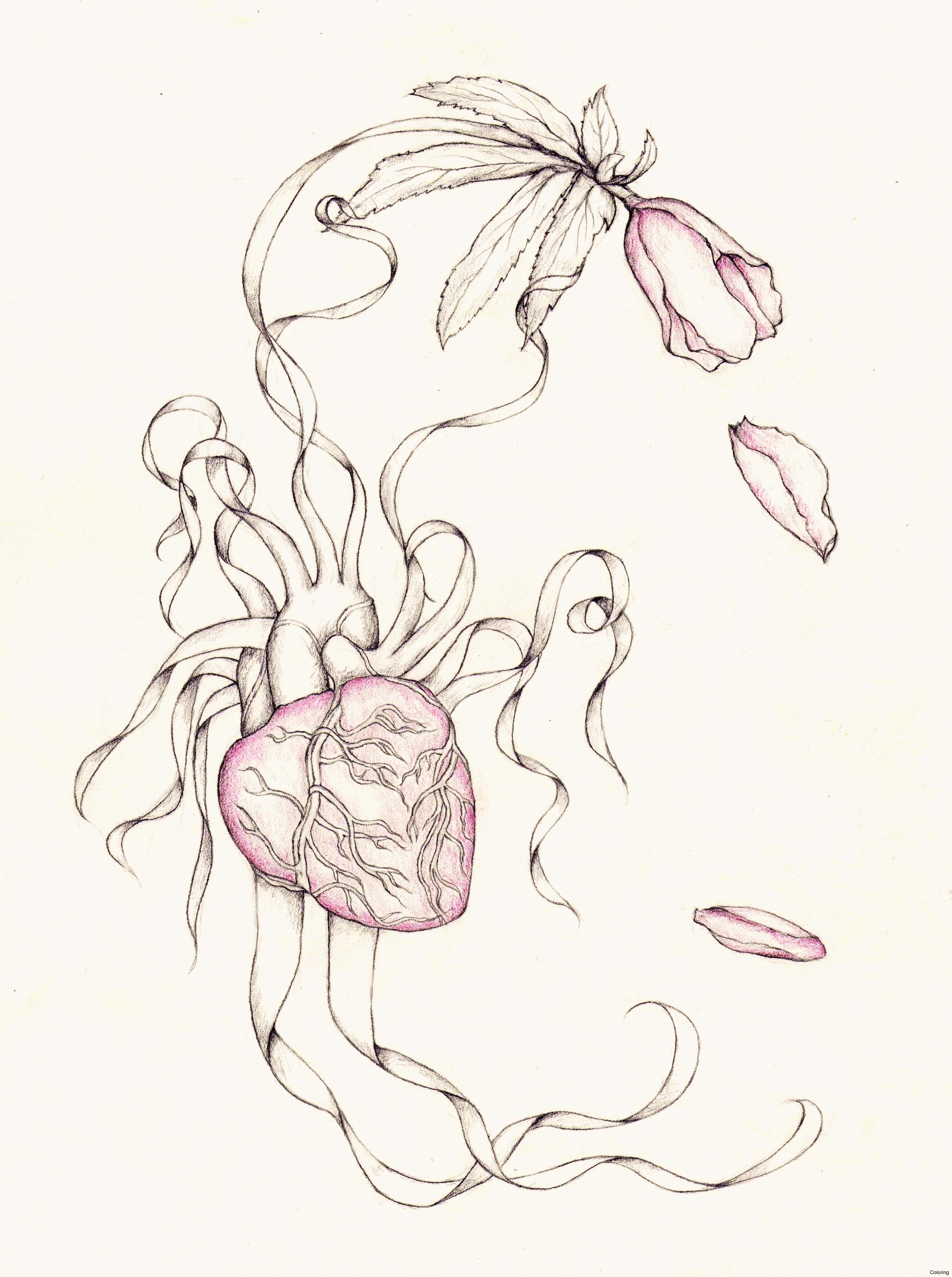 3201x4292 Roses Drawings With Hearts Rose Drawing Ideas Heart