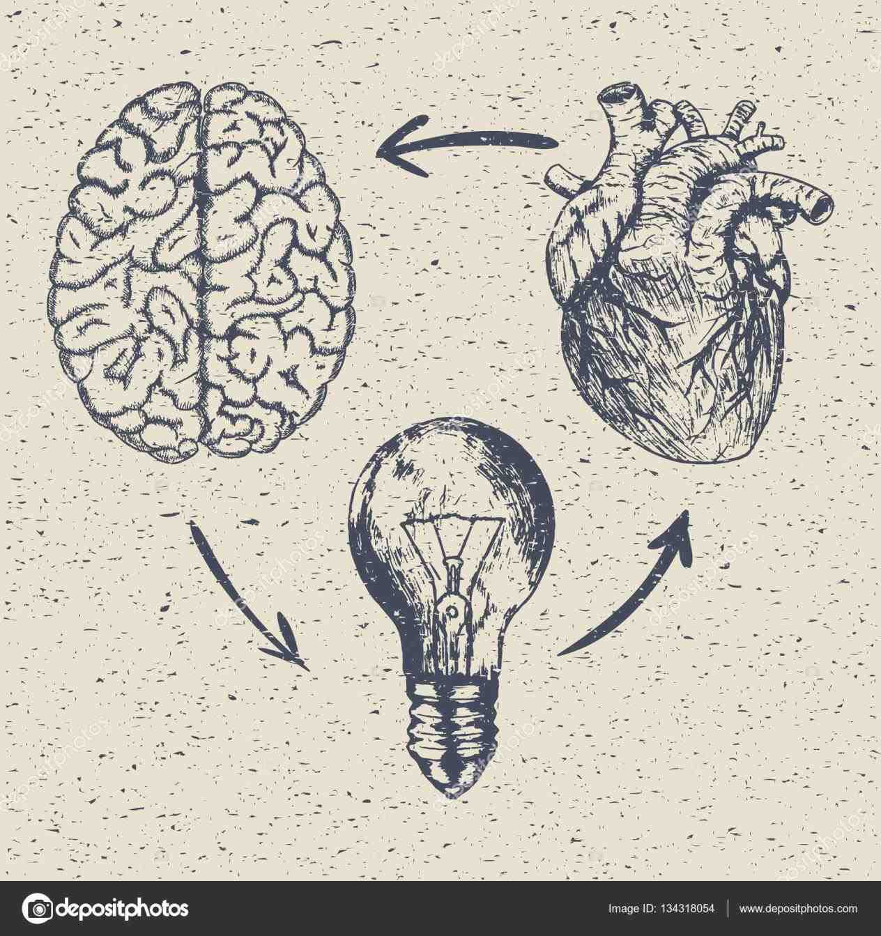 1264x1343 The Images Collection Of U Rose Drawing Step By Noteinfo Drawing