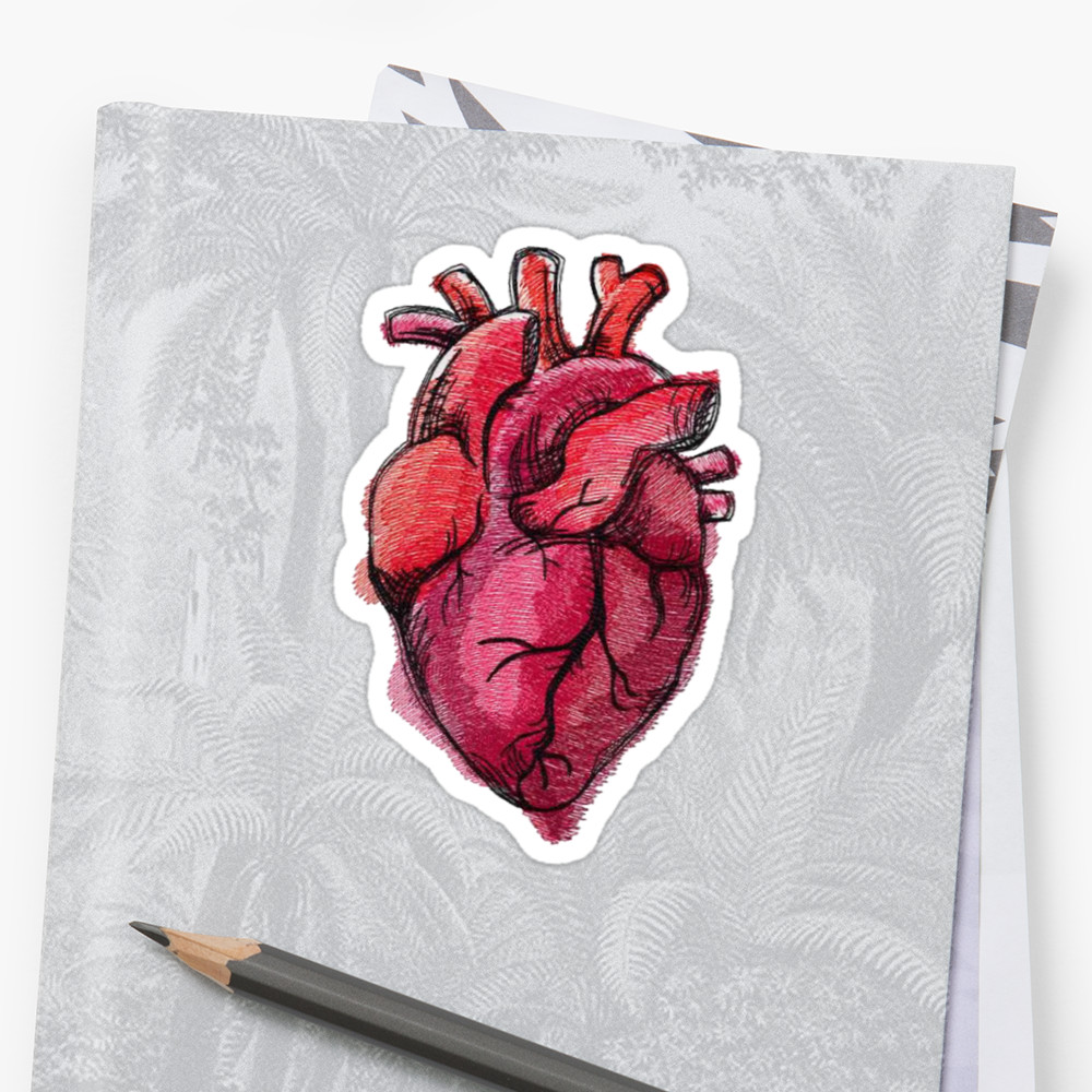 1000x1000 Realistic Heart Drawing Stickers By Decentart Redbubble