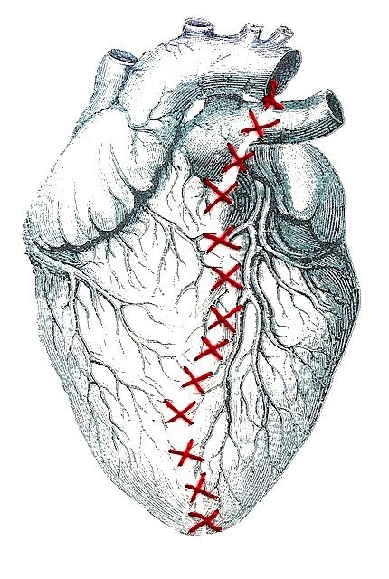 430x640 Desenharts By Serenity Rose