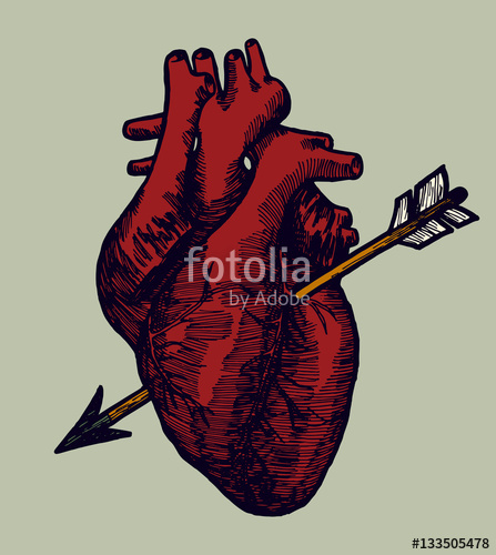 447x500 Real Red Human Heart With Arrow Valentines Day Drawing Vector