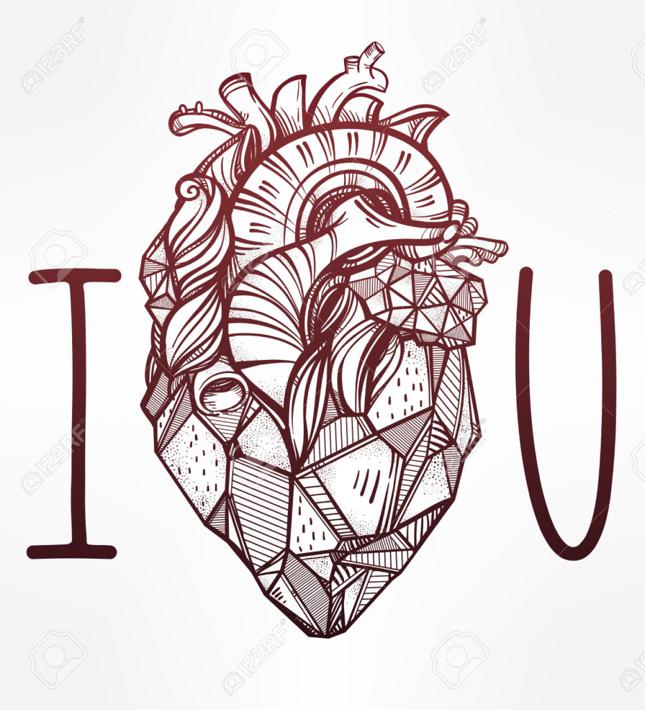 930x1024 Drawing A Human Heart Human Heart Drawing With Labels Anatomy