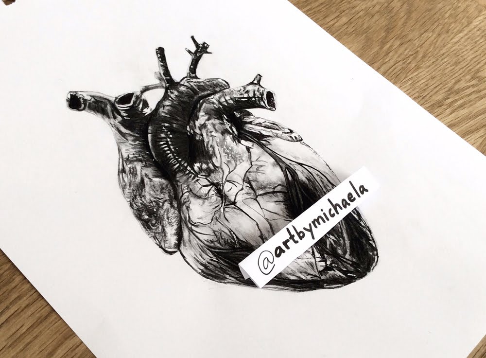 1000x736 Drawing A Human Heart
