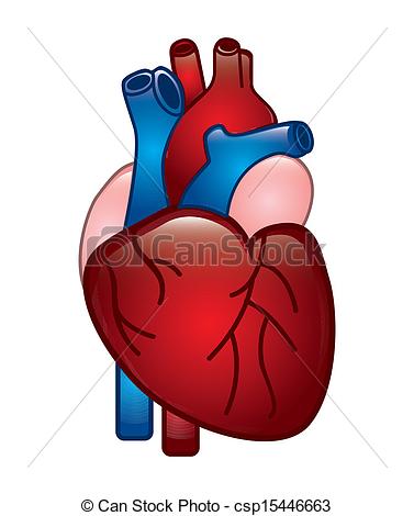 377x470 Human Heart Design Over White Background Vector Illustration