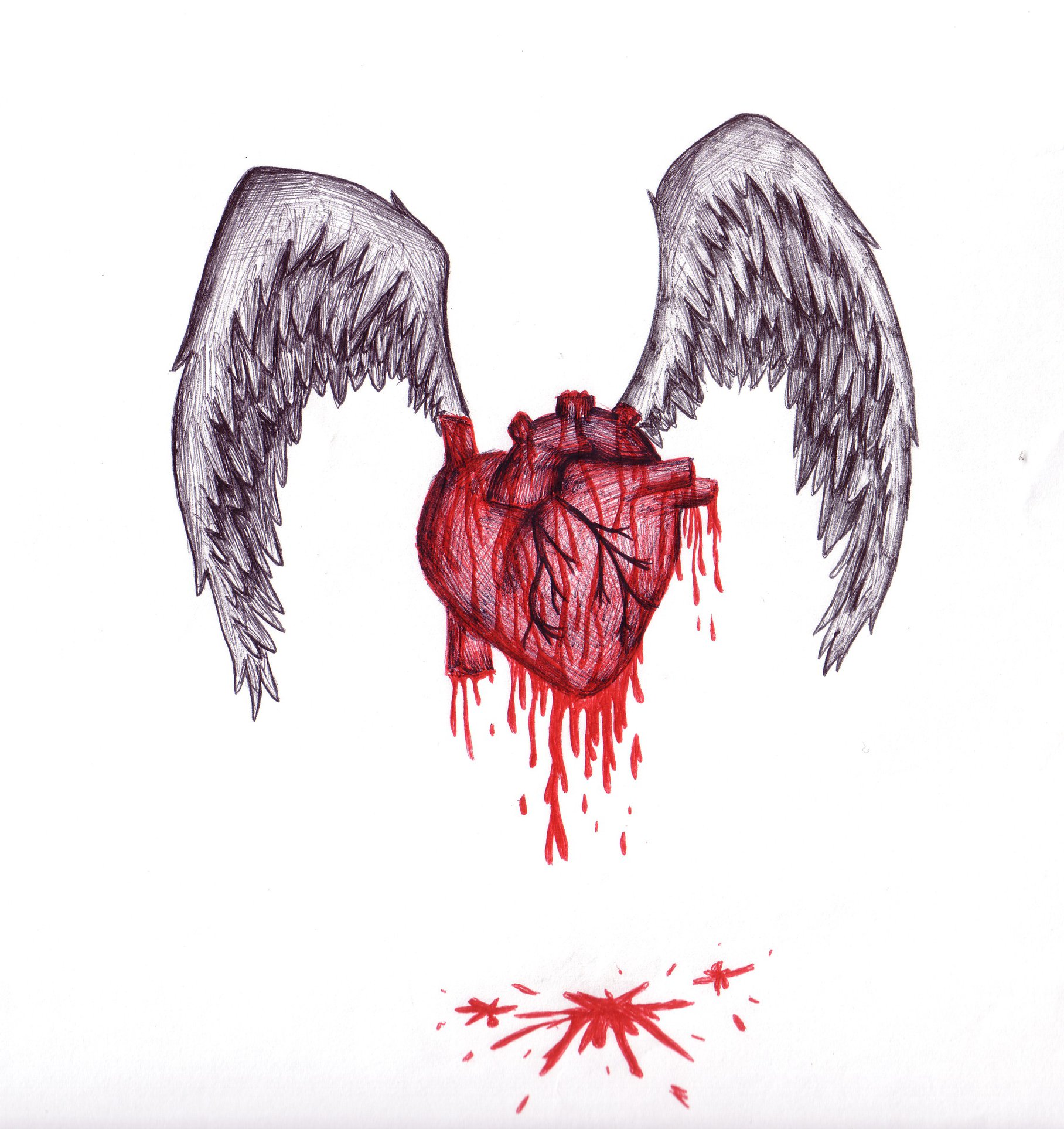 1816x1926 Bleeding Heart By Seffy340