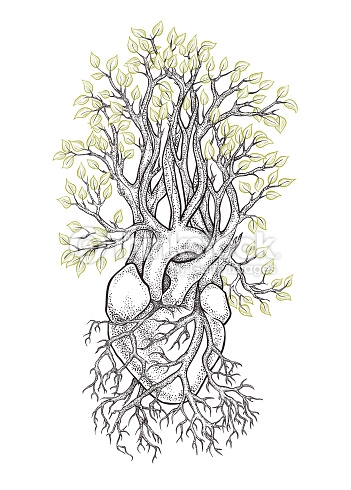351x490 Vector Art Human Heart From Which Grows A Tree My Art