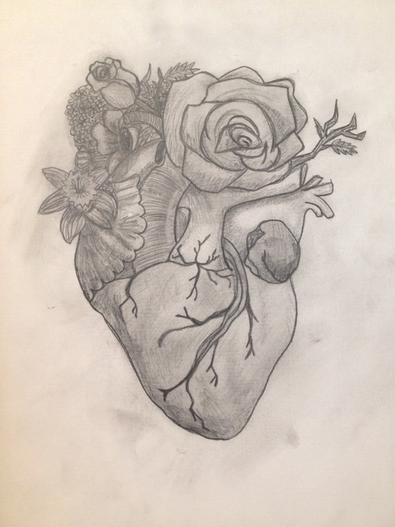 570x760 Gallery Pencil Drawings Of Hearts And Flowers,