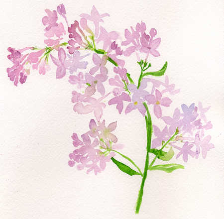 450x440 Stock Illustration