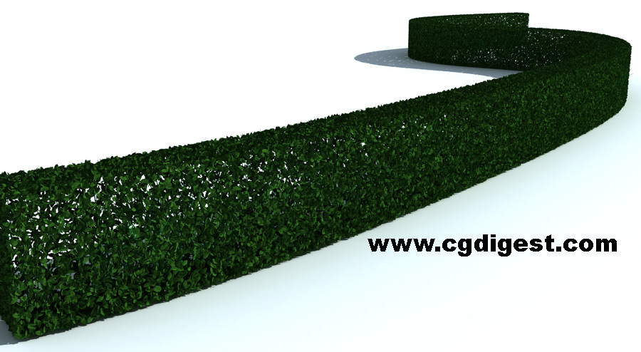 900x494 How To Model A 3d Hedge