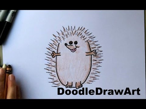 480x360 How To Draw A Hedgehog! Cute Cartoon Art Drawing Tutorial For Kids