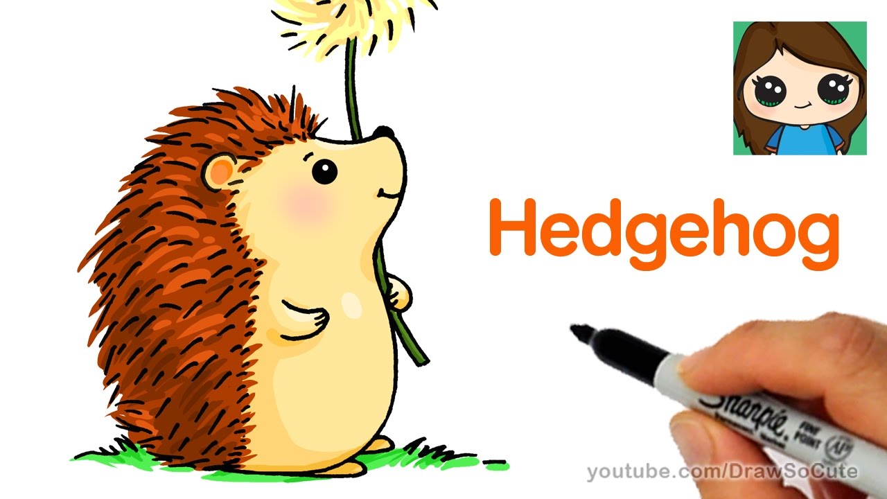 1280x720 How To Draw A Hedgehog Easy