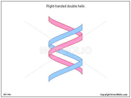 500x375 Right Handed Double Helix Illustrations