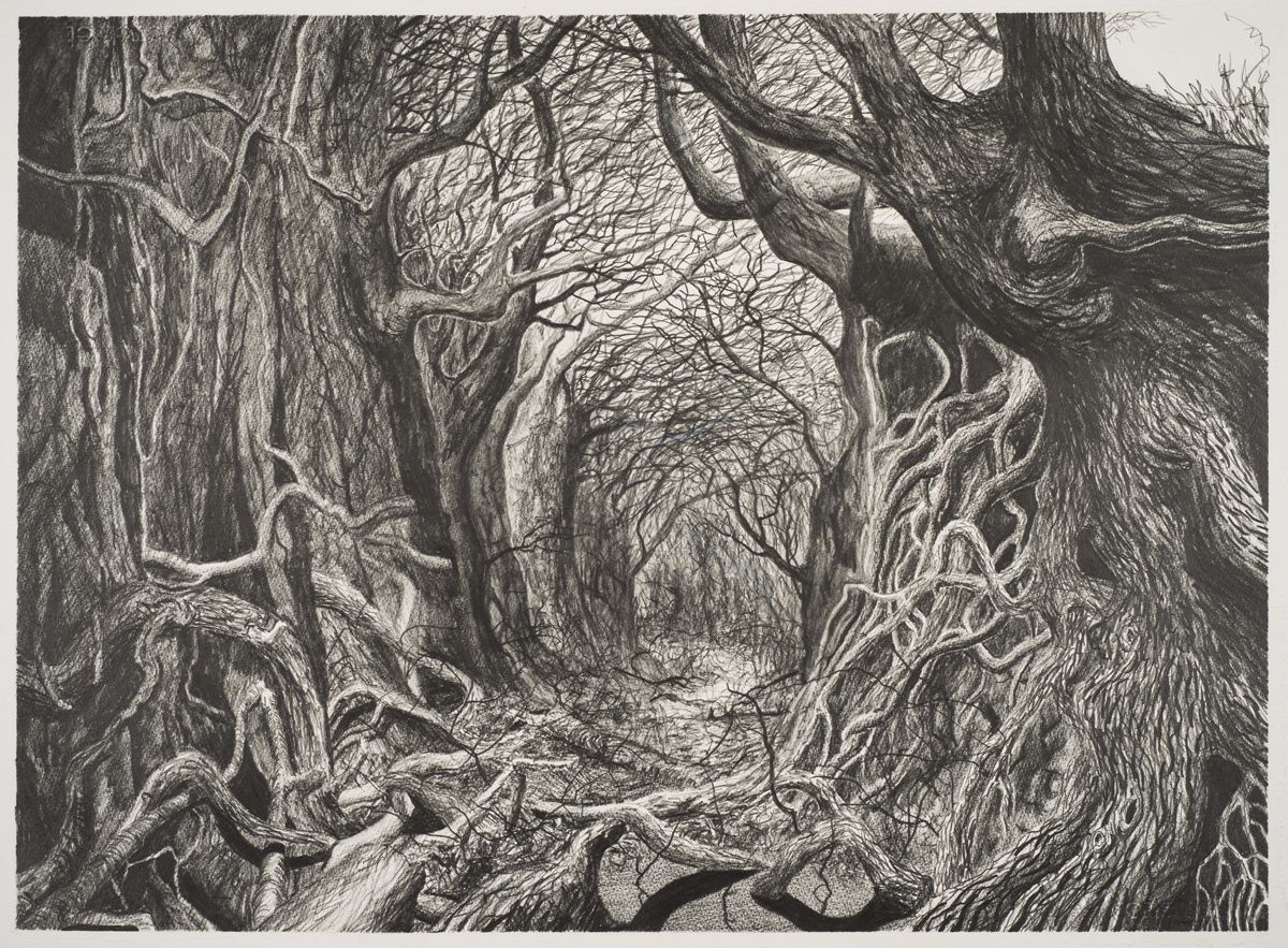 1200x883 Stanley Donwood