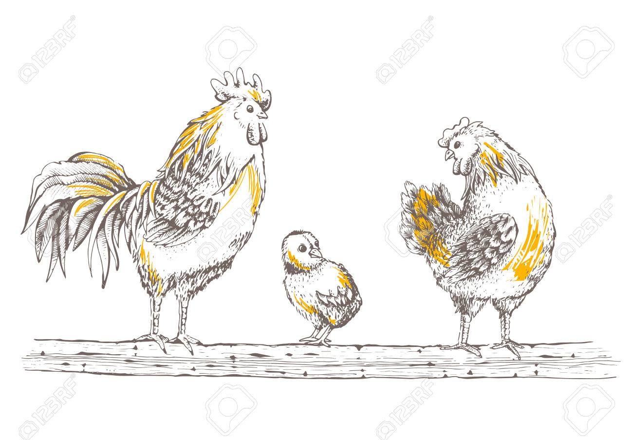 1300x903 Illustration