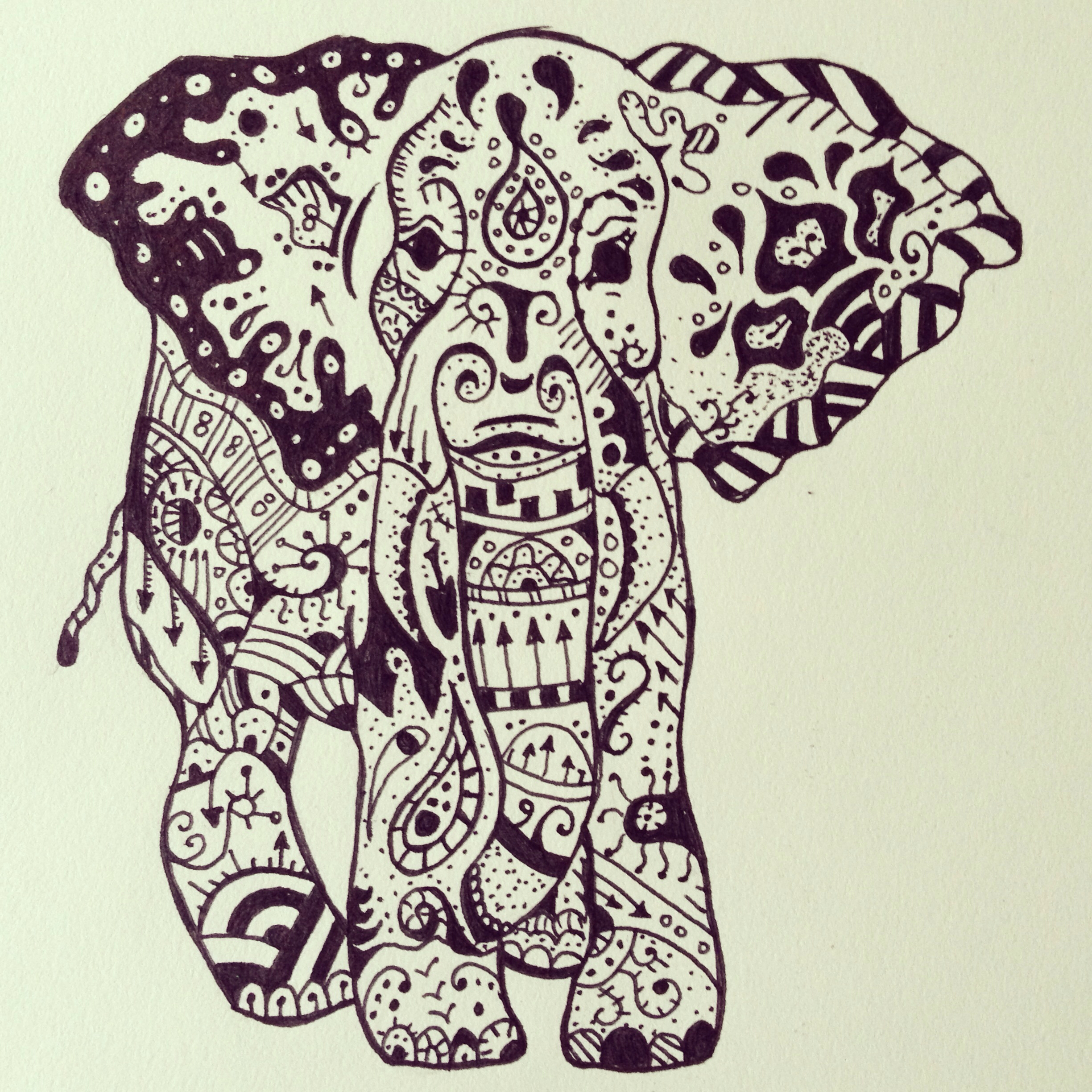2448x2448 Because Who Doesn'T Love Elephants
