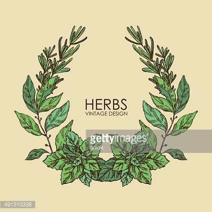 416x416 Herb Wreaths Drawing