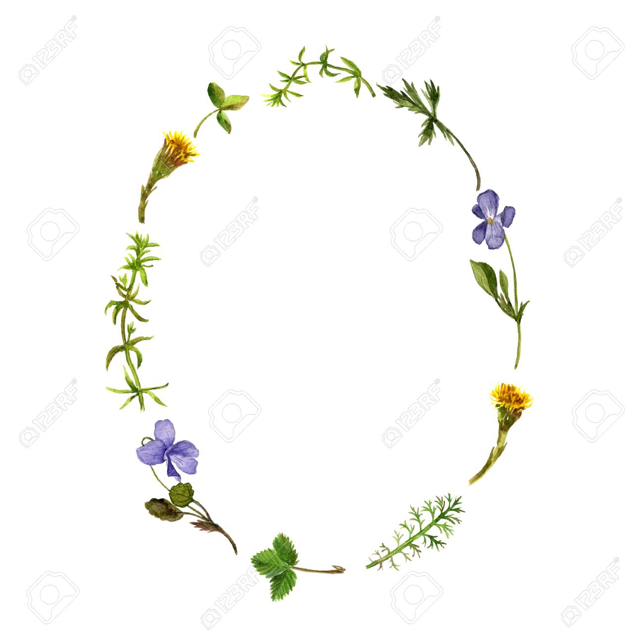 1300x1300 Floral Frame With Watercolor Drawing Wild Flowers, Herbs