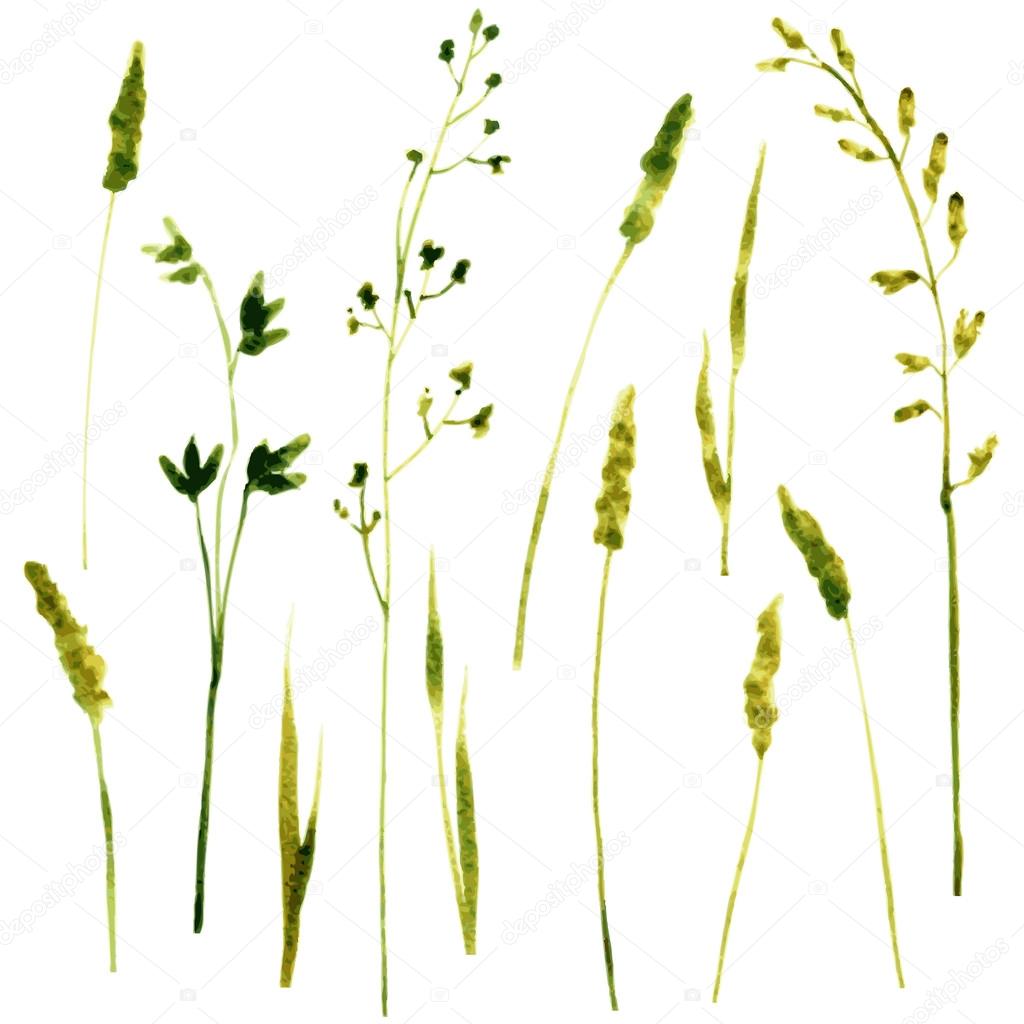 1024x1024 Set Of Watercolor Drawing Herbs Stock Vector Cat Arch Angel