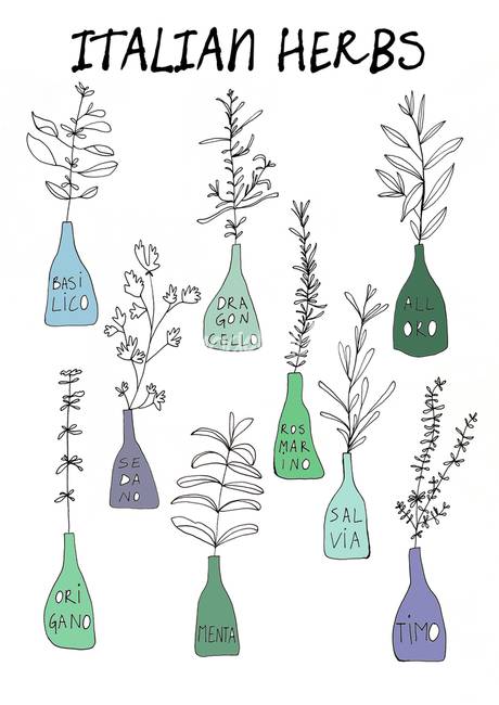 460x650 Stunning Herbs Drawings And Illustrations For Sale On Fine Art