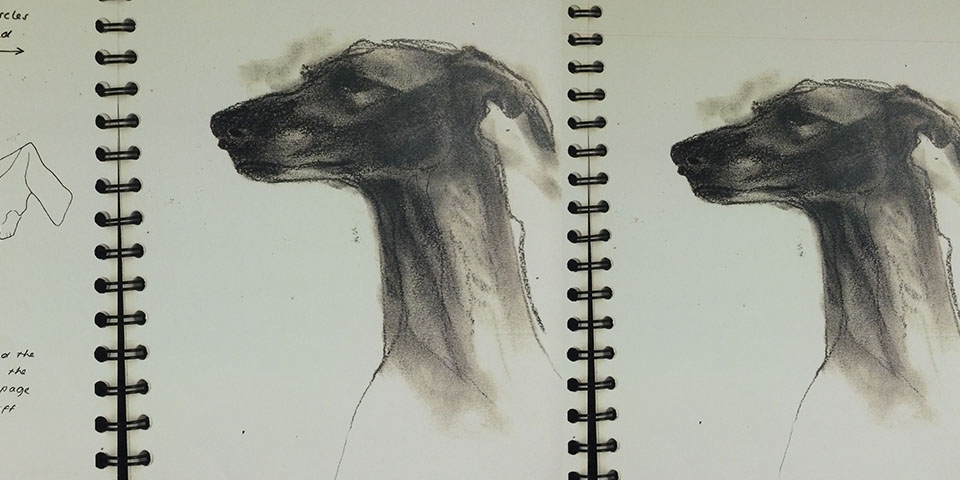 960x480 Hereford College Of Arts