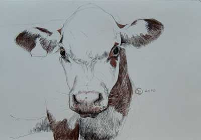 400x278 Image Result For Kunst Annabelle Lanfermeijer For The Home