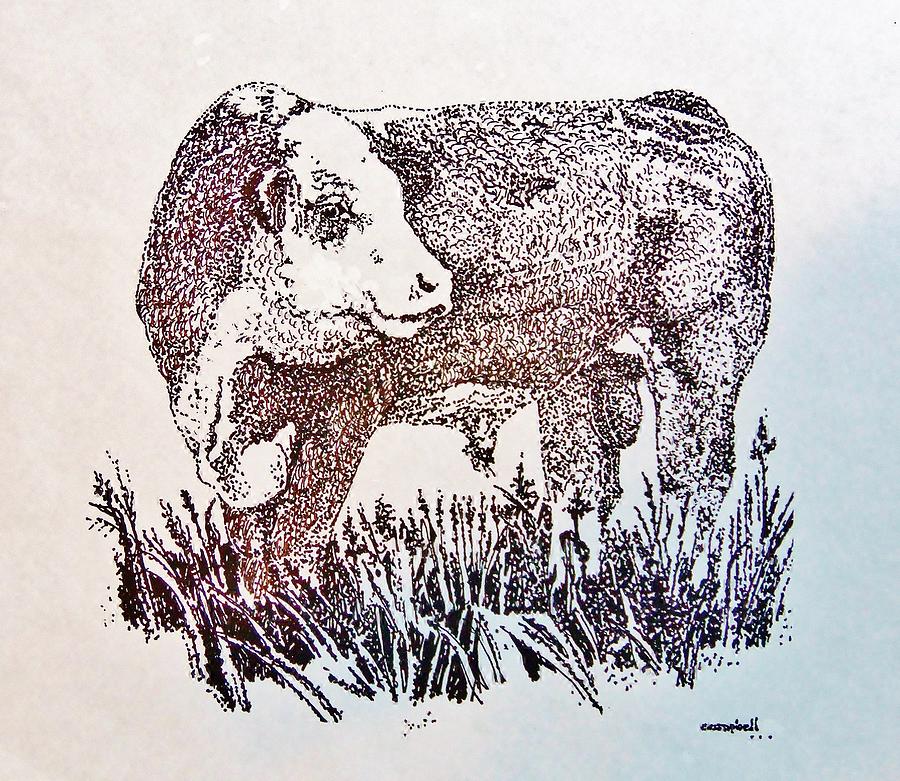 The best free Hereford drawing images. Download from 31 free drawings ...