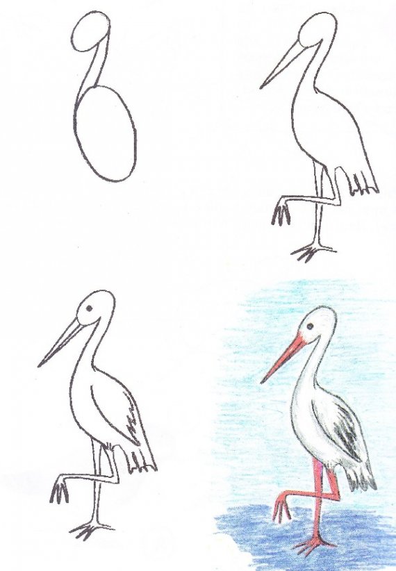570x822 Painting For Kids. Easy Heron Drawing Tutorial Drawing