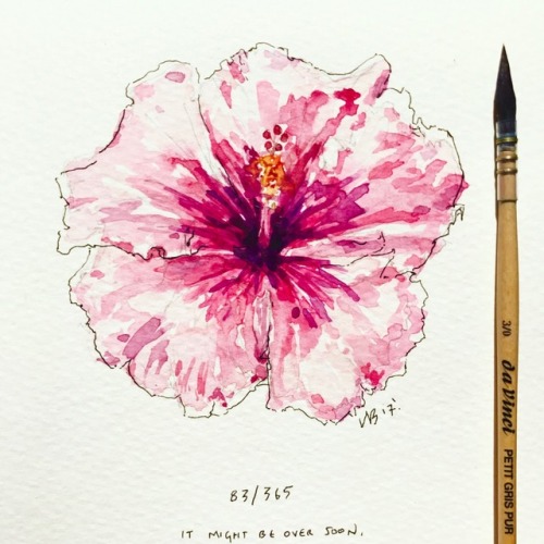 500x500 Hibiscus Drawing Tumblr