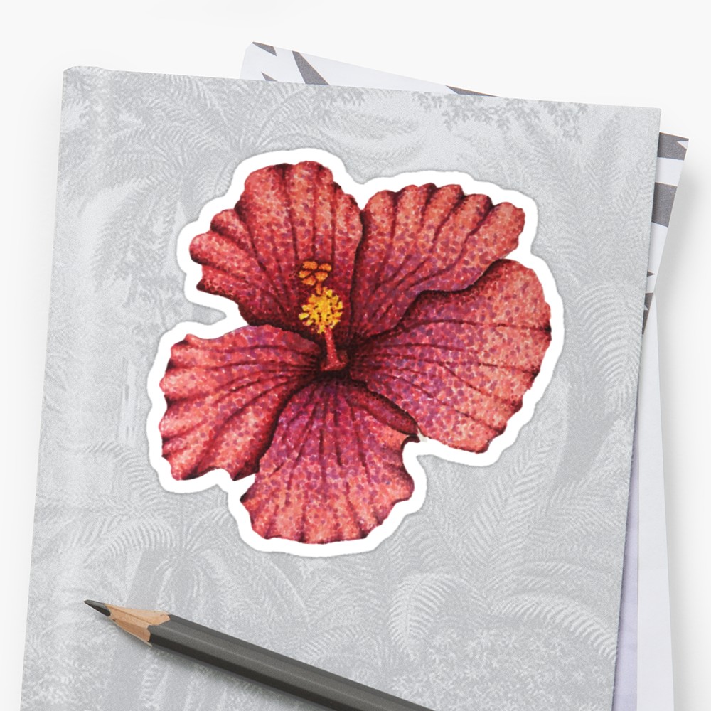 1000x1000 Hawaiian Hibiscus Flower Drawing Stickers By Nicole Owens Redbubble