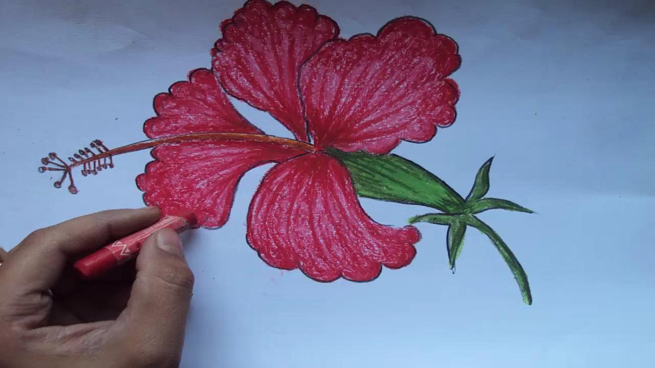1280x720 Colourful Drawing Of Flower For Kids How To Draw A Beautiful