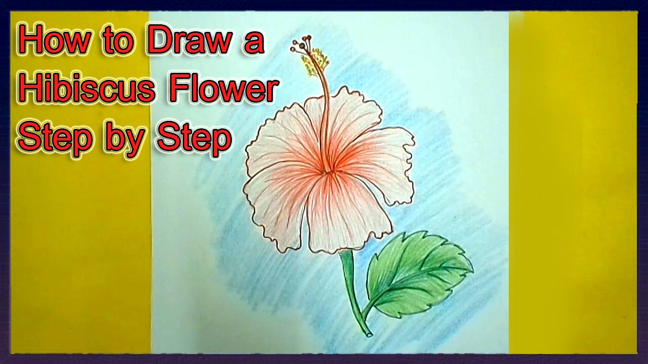 Hibiscus Flower Drawing Step By Step at GetDrawings | Free download
