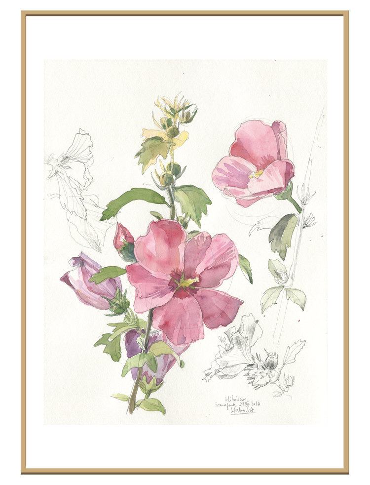 750x982 Hibiscus Flower N3 Floral Print Of Watercolour And Pencil Drawing