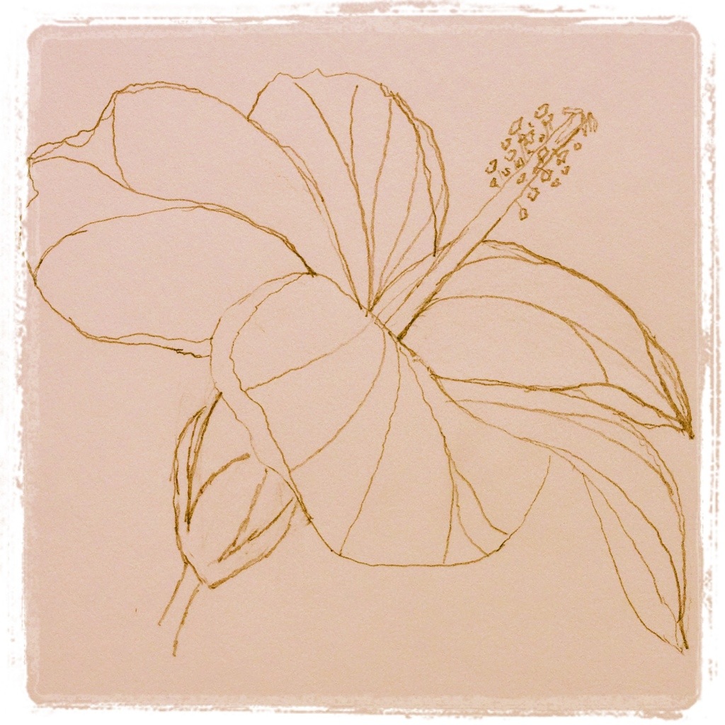 1024x1024 Hibiscus Open Pencil Sketch