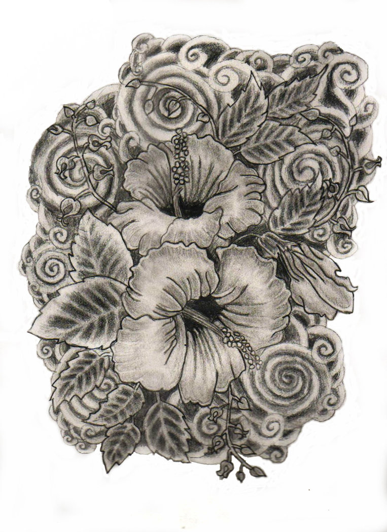 Hibiscus Pencil Drawing at GetDrawings | Free download