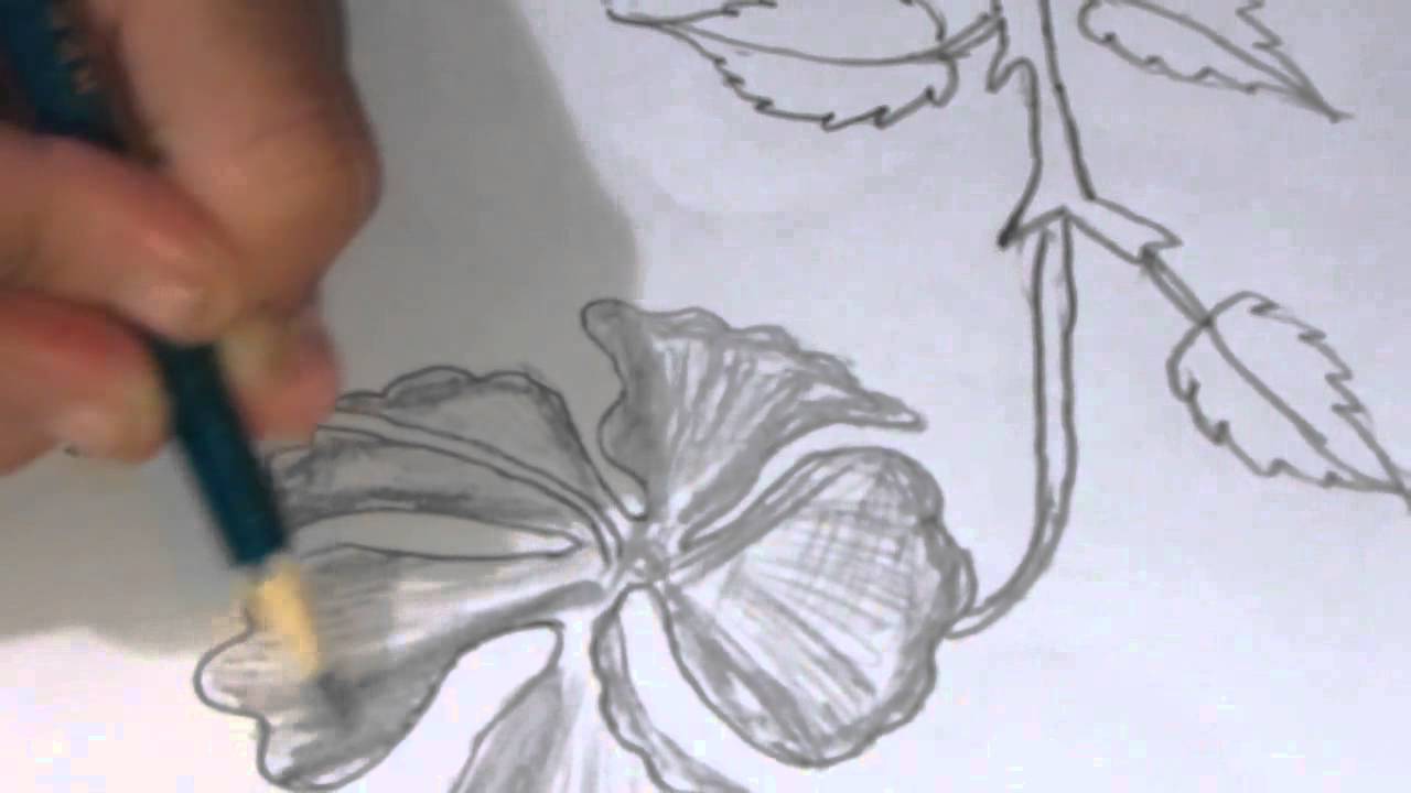 1280x720 How To Draw And Sketch A Hibiscus Type Flower Using Pencil