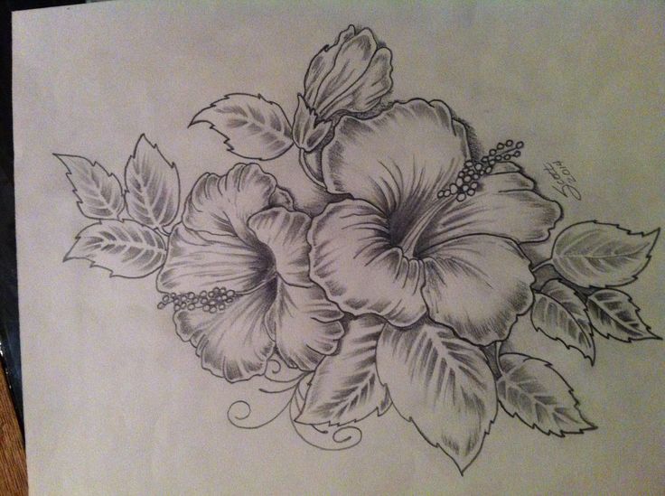 736x549 Hibiscus Tattoo Artwork. My Take On An Existing Design. Will Be