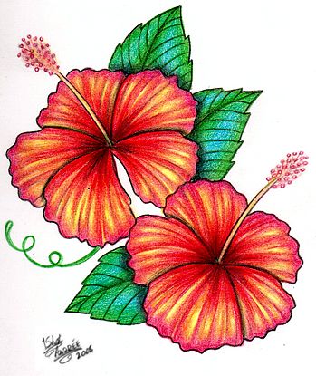 349x415 Hibiscus Tattoo Design By Tattoos