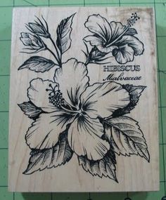 236x285 D5a233a70c83353b3db6bd700f512c05.jpg 750 1 004 Bildepunkter