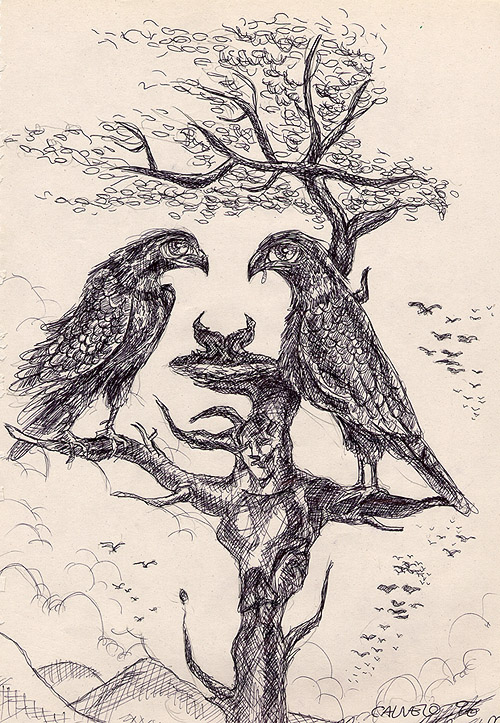 500x723 Marc Calvelo